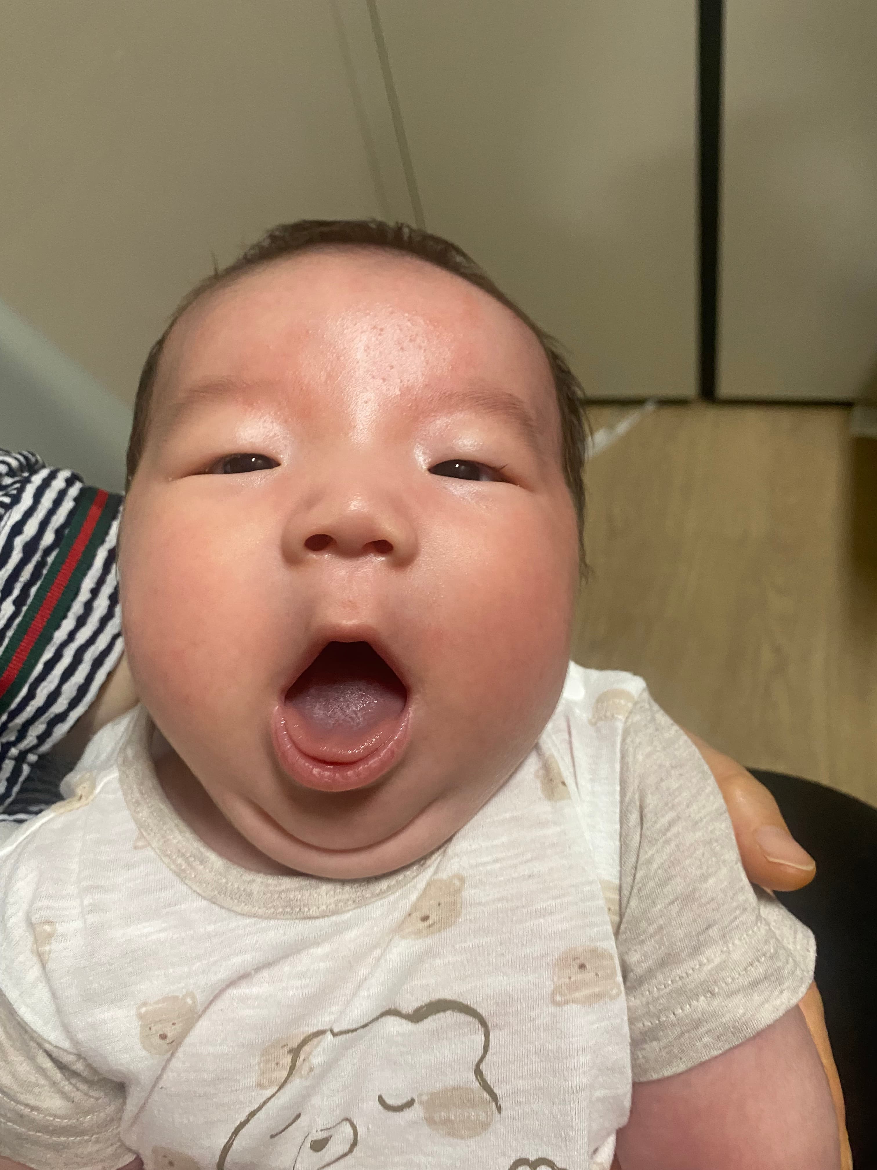 두 번째 주차 묶음에 함께 둔 공개용 가로 사진
