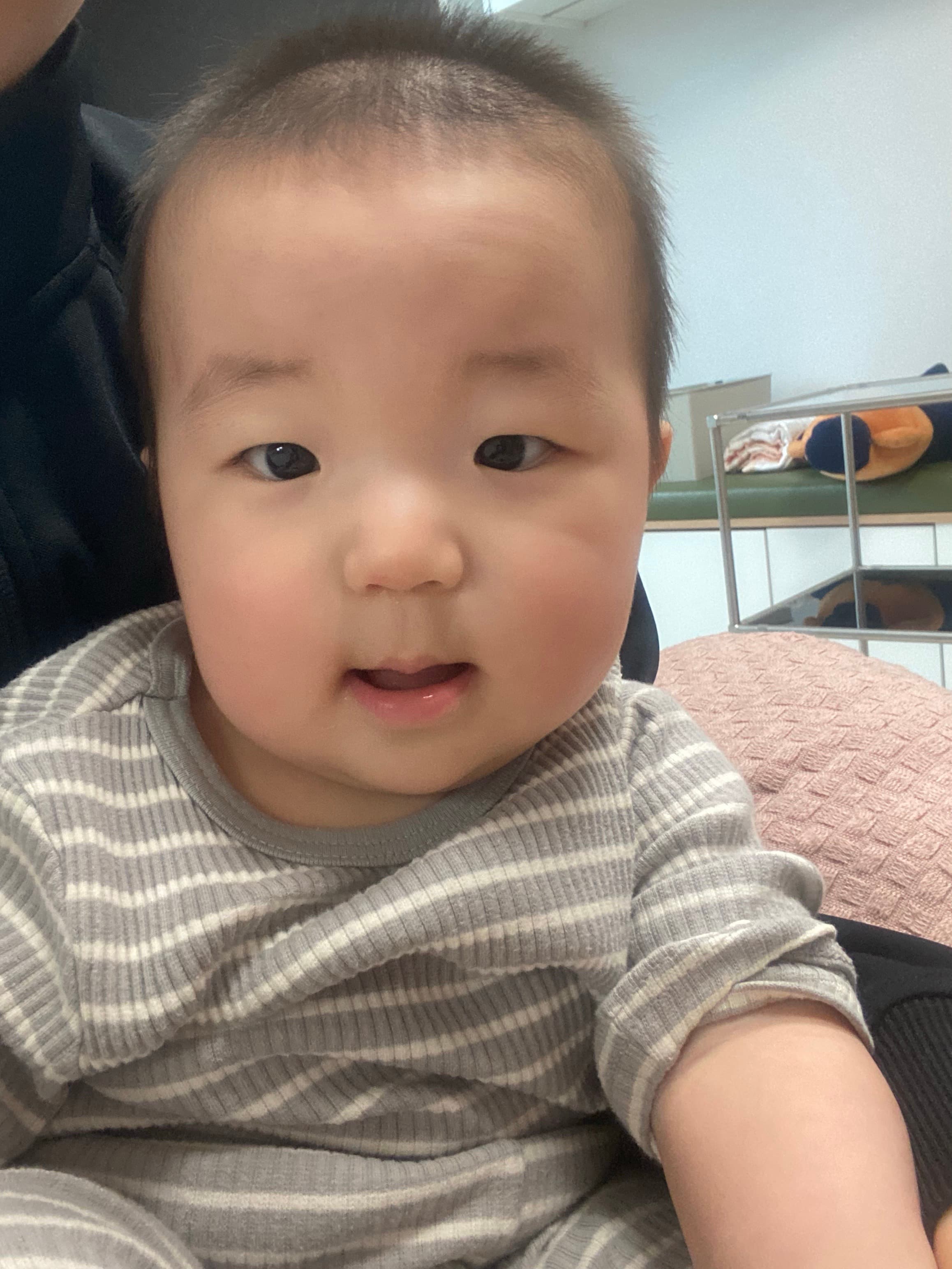 현재 월령 묶음에 남긴 공개용 세로 사진